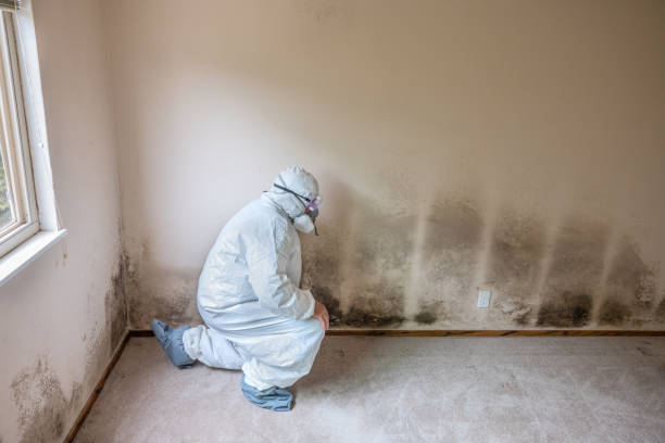 Water Damage Restoration in Denmark, WI